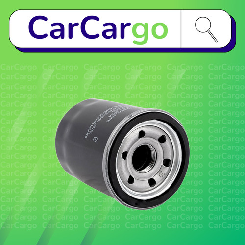 Oil filter for proton - for,